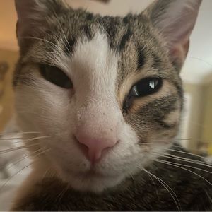 Meet your Posher, Carla